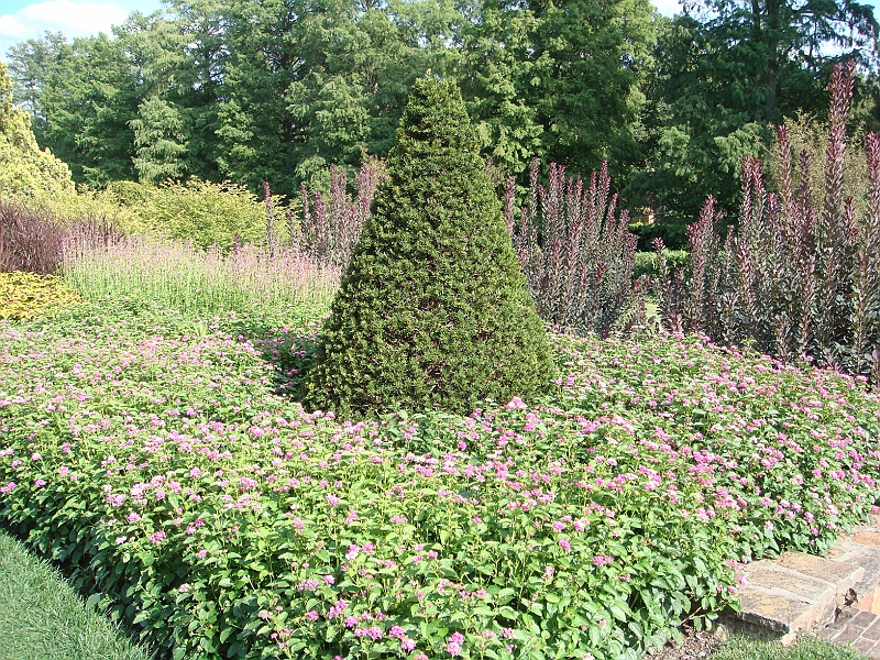 160 Longwood Gardens [2008 August 23].JPG - Longwood Gardens in Pennsylvania